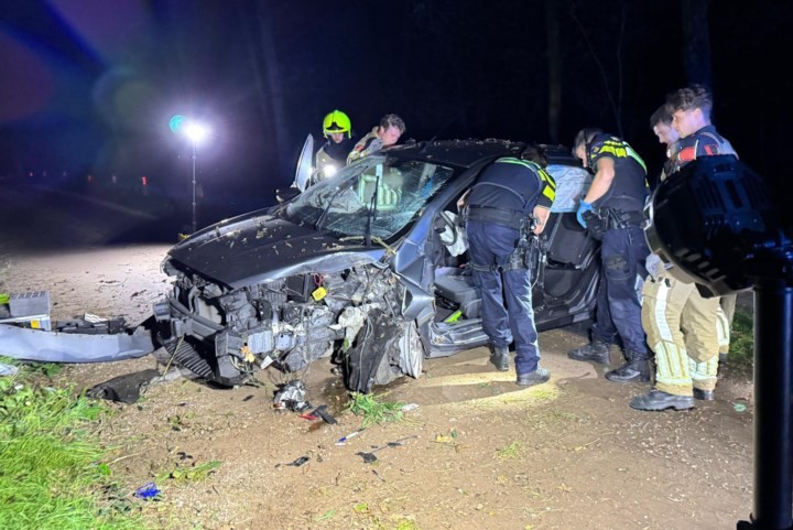 Automobilist ernstig gewond na botsing tegen boom in Herkenbosch