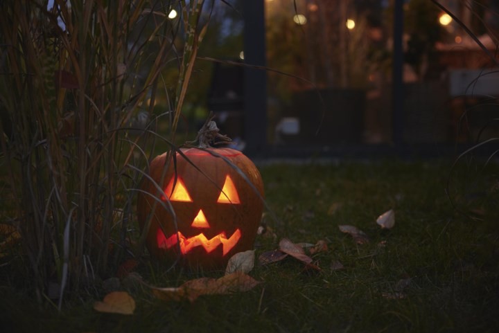 Vier jij Halloween op een uitbundige manier of doe je iets bijzonders? Dan zijn wij op zoek naar jouw verhaal