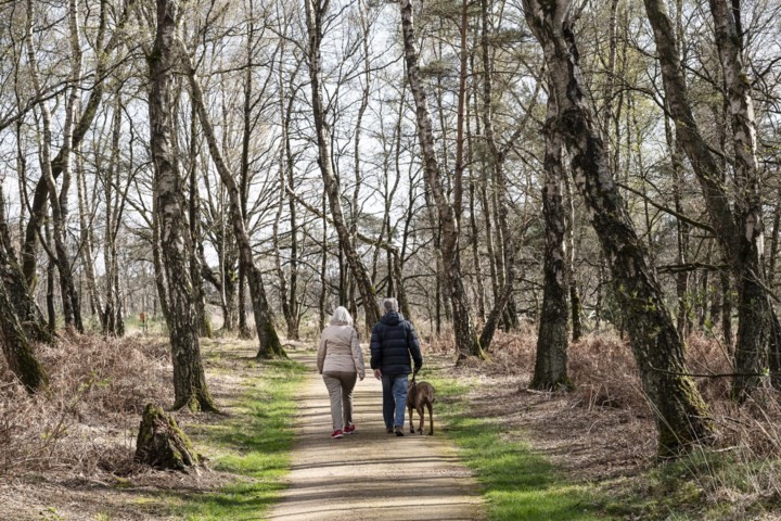 Meinweg XL wordt één groot natuurgebied tussen Beesel en Echt:  nu nog een nieuwe naam die de lading dekt