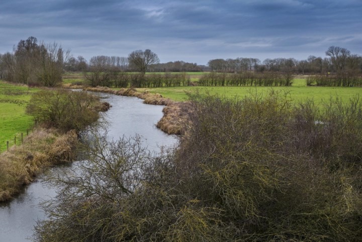 Natuur- en toeristische organisaties luiden noodklok over verdere achteruitgang Limburgs landschap