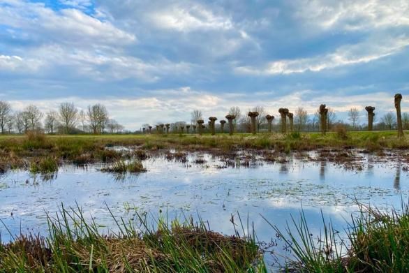 Provincie Limburg zet grondruil Flinke Ven Vlodrop vlak voor de finish plots op ijs