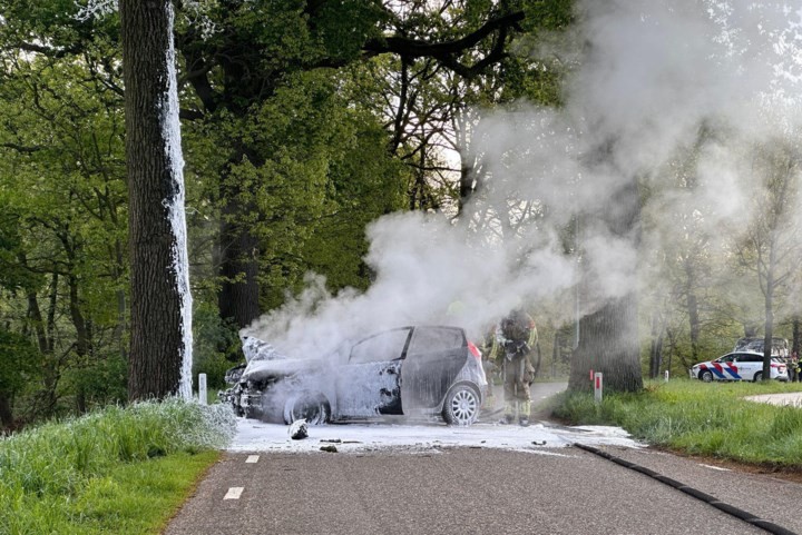 Automobilist botst tegen boom, waarna voertuig vlam vat in Sint Odiliënberg