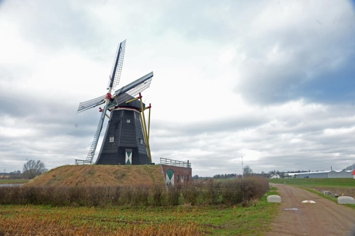 Activiteiten voor jong en oud in en rondom dertig molens in Limburg