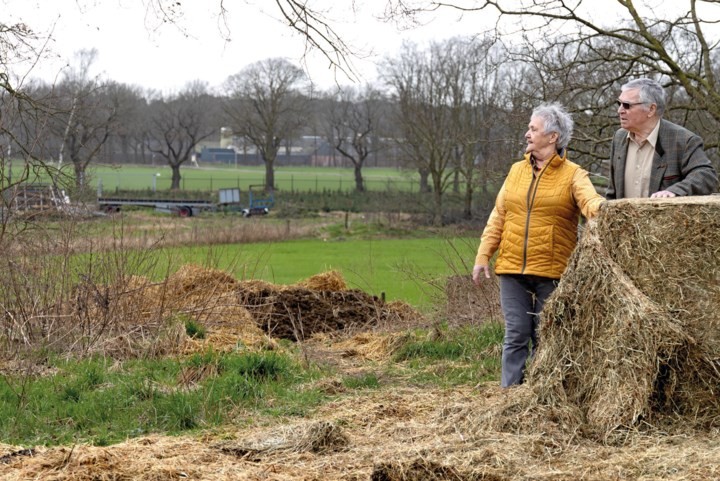 Deze vijf families bezitten samen bijna 800 hectare grond in Limburg: ‘Ik zou best nog wat willen kopen, maar mijn vrouw zegt dat het genoeg is’