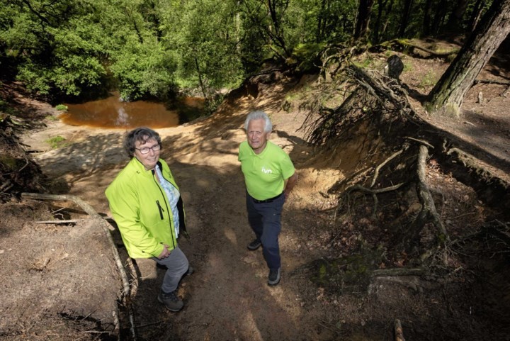 IVN Natuureducatie start opleiding tot landschapsgids: ‘Fascinerend om te leren zien hoe landschap door de eeuwen heen is gevormd’