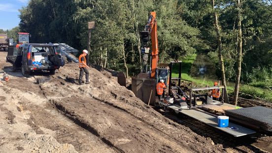 Rijkswaterstaat:  'Exponentiële toename dassen en bevers'