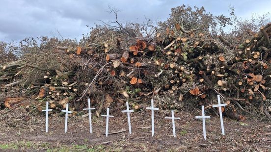 Activisten plaatsen symbolisch houten kruizen langs A2