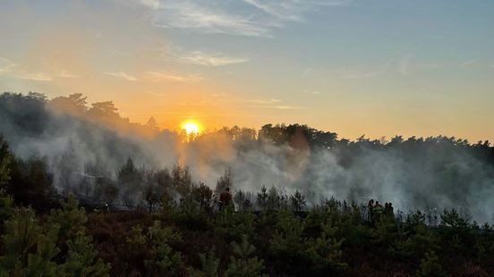 Boswachters naar Den Haag: 'Bescherm natuur beter'