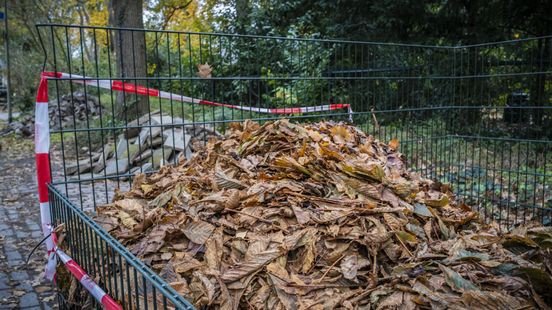 Bergen doet bladkorven in de ban