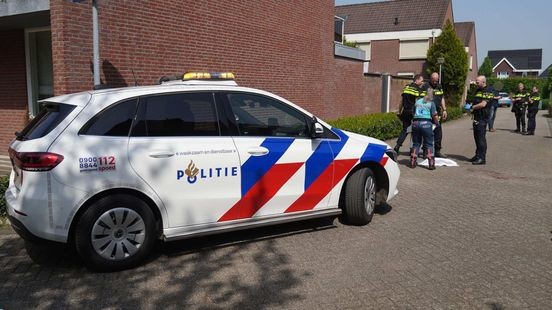 Aangereden hondje bijt baasje vlak voor overlijden