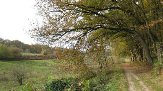 Sint Jansberg Mook uitgeroepen tot icoonlandschap