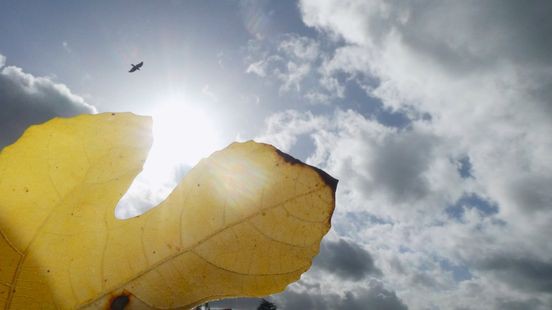 Zondag code geel voor felle onweersbuien en windstoten