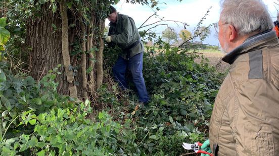 660 buren steken handen uit de mouwen tijdens Natuurwerkdag