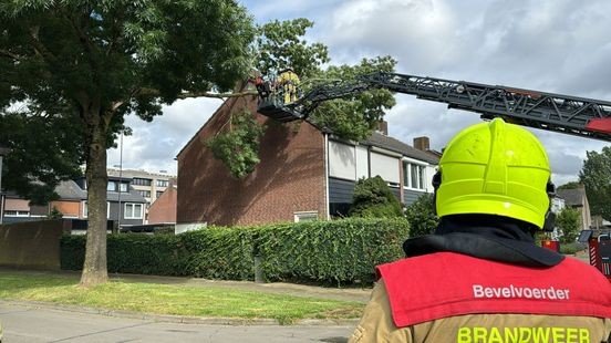 Meerdere bomen omgewaaid door harde wind