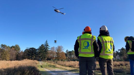 Droogte, verzuring en keverplagen: bos heeft hulp nodig