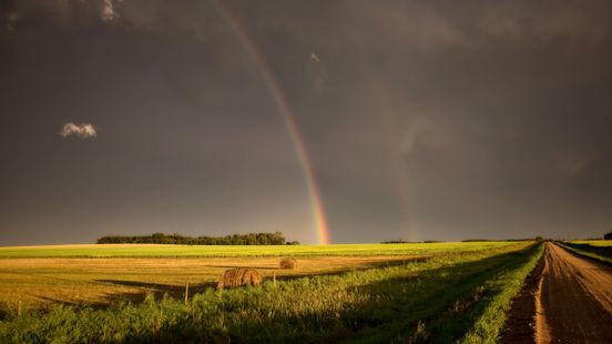 Code geel: kans op onweersbuien, hagel en windstoten