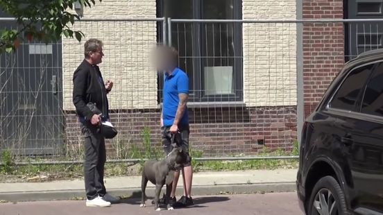 Stan T. in hongerstaking gevangenis Leeuwarden: 'onwerkbaar'