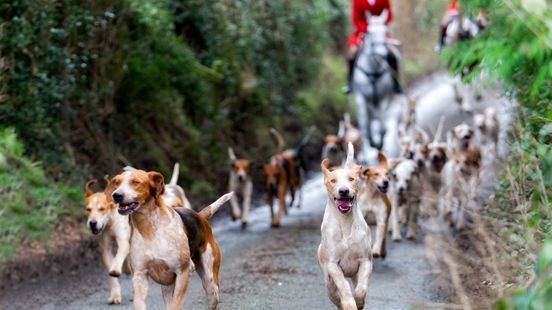 Geen toestemming voor traditionele slipjacht in Meinweg