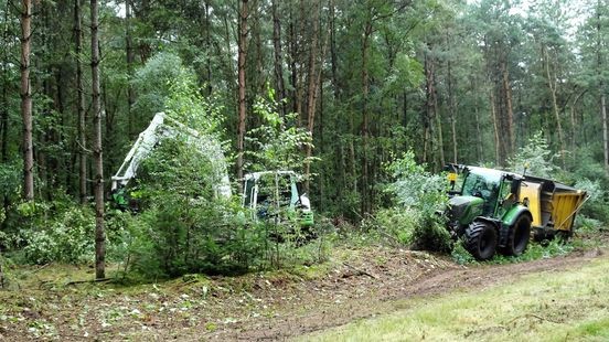 Toerit A2 twee weken dicht: Rijkswaterstaat wiedt onkruid