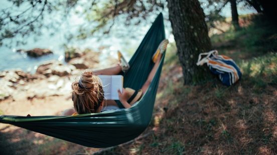 Een thriller op het strand? Je bent niet de enige, zo blijkt bij de bibliotheken