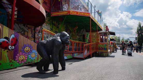 Wie heeft Bokito gestolen? Aap op kermis in Weert vermist