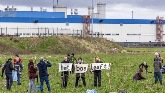 De Groene Sporenwolf: 'Geld voor wegen VDL Nedcar kan nu naar natuur'