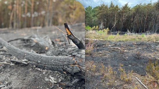 Zwarte vlakte blijft achter na brand op Brunssummerheide: 'We stonden klaar om te evacueren'