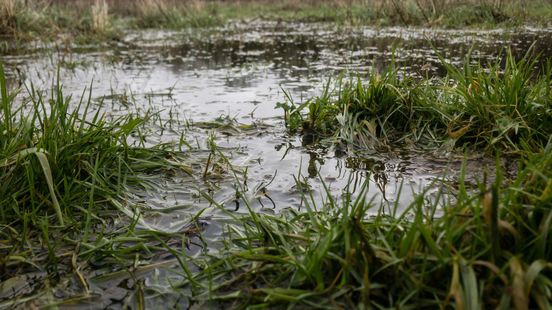 Grondwaterstand ondanks natte juli nog altijd te laag