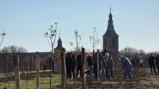 Een bos vol herinneringen: Kerkrade verwelkomt vierde levensbomenbos