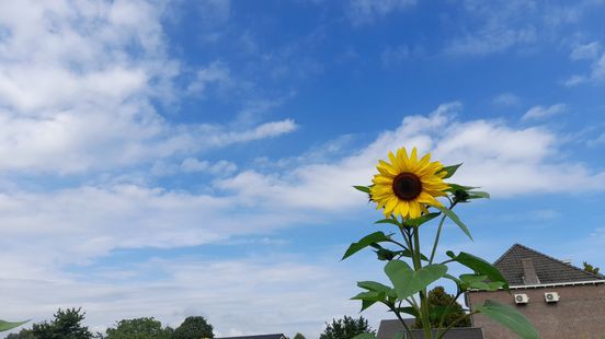 Komend weekend broeierig en hogere temperaturen