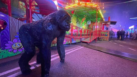 Aap Bokito terug bij kermis Weert, wel beschadigd