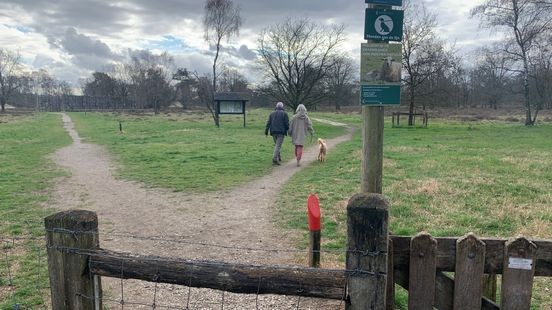 Kraamkamer Moeder Natuur: broedseizoen is begonnen