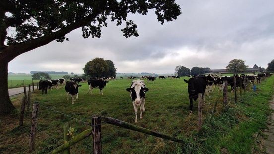 Provincie investeert vijf ton in toekomst voor duurzamere landbouw