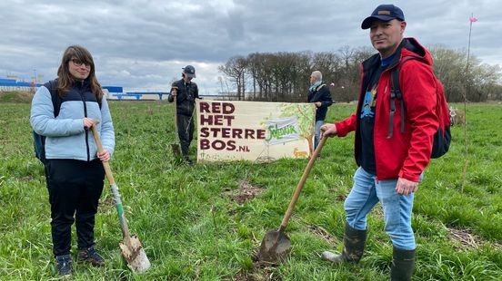 Activisten planten bomen in gekapt Sterrebos bij Nedcar