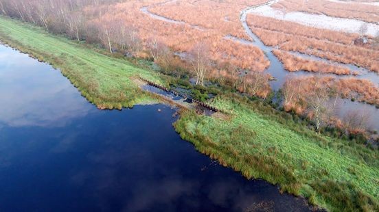 Door de vele regen kan herstel de Peel beginnen