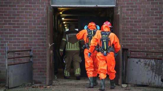 Brandweer redt negen varkens uit gierput