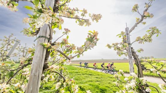 Limburg heeft meer groen, Nederland minder