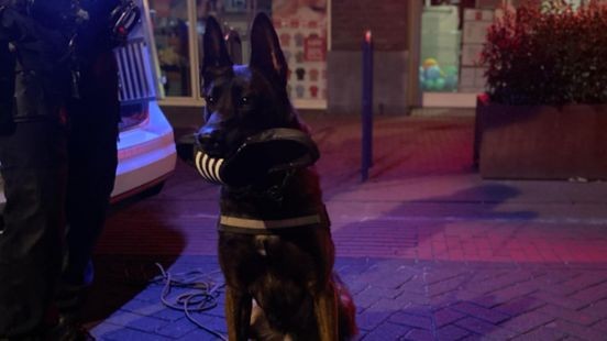 Inbraakverdachten laten slipper achter, politiehond Max speurt ze op