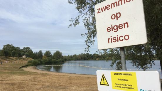 Ook blauwalg gevonden in Roermond en Middelaar