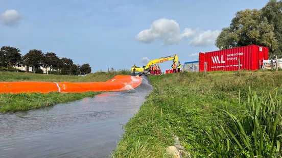 Zweedse schotten moeten Limburg droog houden