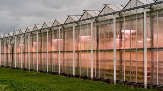 Provincie wint rechtszaak over biomassacentrale in Maasbree