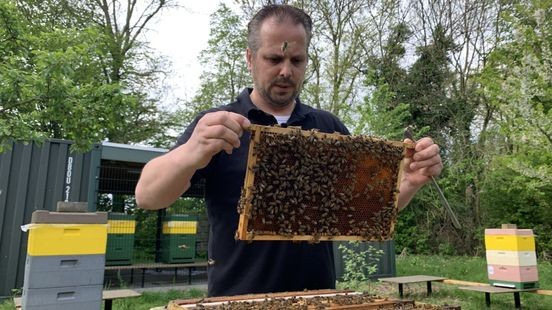 'Strak gemaaid gras? Laat wel de bloemetjes staan!'