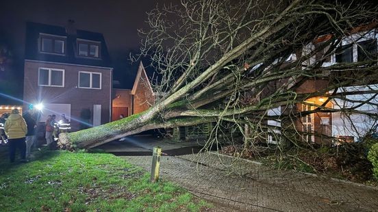 Storm Louis zorgt ook in Limburg voor schade