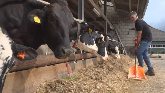 Veestapel nu toch weer kleiner: boer voelt zich speelbal van overheid