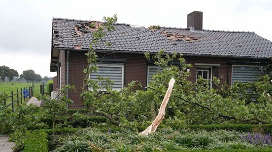 Dak van woning beschadigd door afgewaaide takken