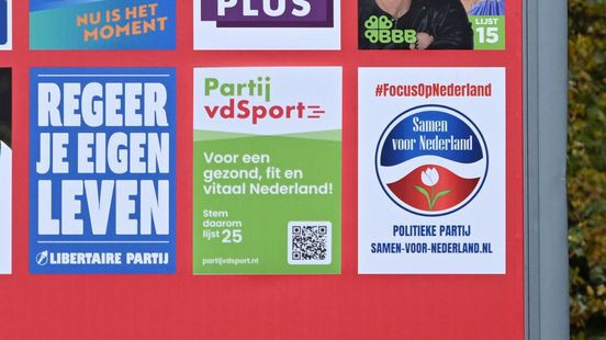 De Limburgers achter de kleinere politieke partijen