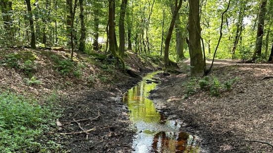 Provincie eist dat boeren meepraten over toekomst Nationaal Park de Meinweg