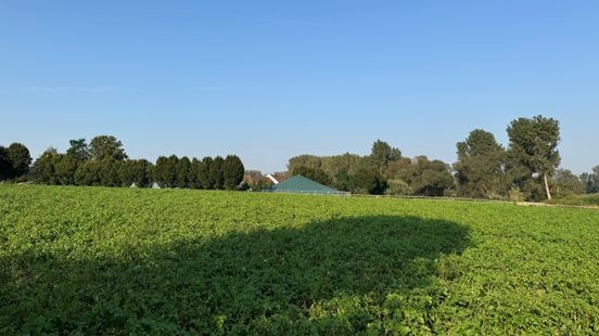 Mestsilo met harddrugsresten in Vlodrop gesloten, onderzoek loopt nog