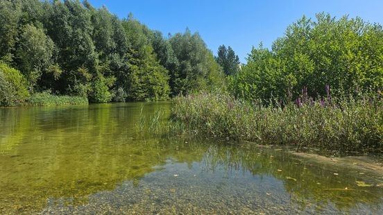 Brunssummerheide weert zich tegen watercrassula