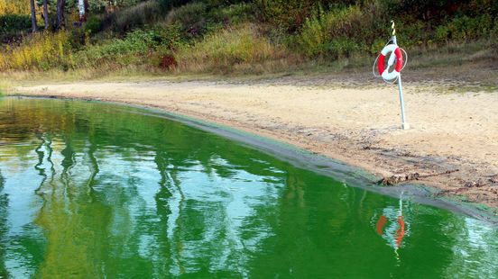 Waterschap geeft waarschuwing voor blauwalg in Eijsden